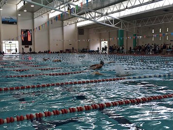Llega a su fin Curso Corto de Natación