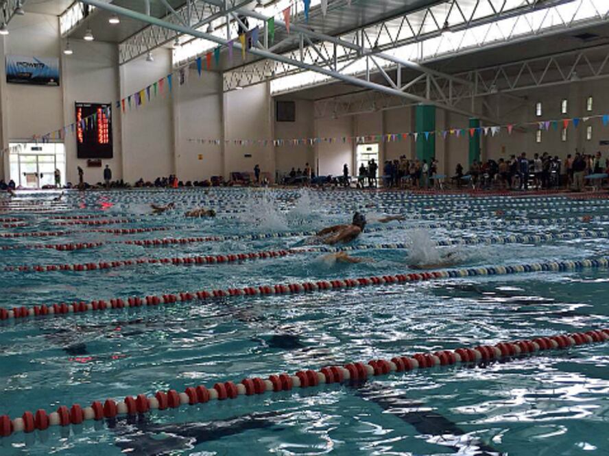 Llega a su fin Curso Corto de Natación