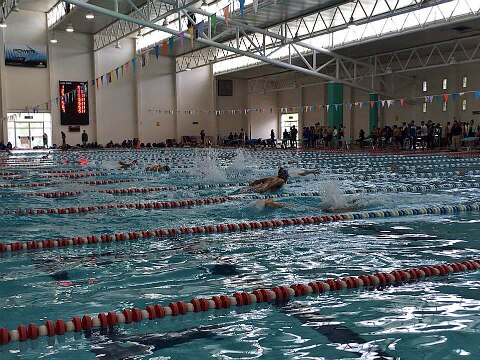 Llega a su fin Curso Corto de Natación