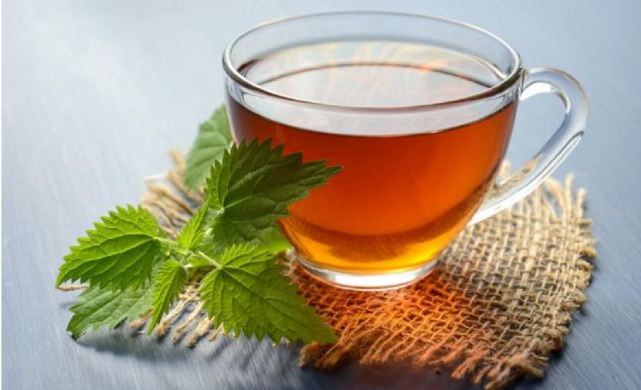 Té de poleo, el mejor remedio para la resaca