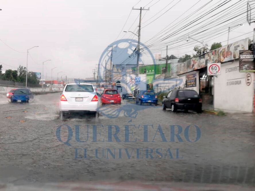 Foto: Rosaura Hernández