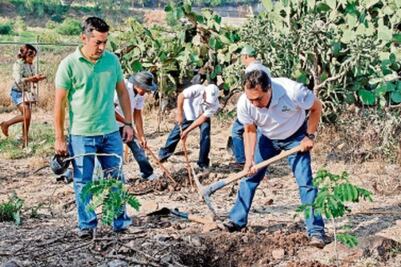 45 van por recursos de impuesto ‘verde’