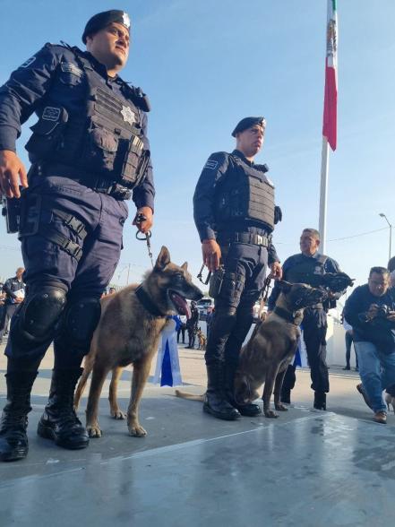 Con honores, se retiran dos perros de la policía en Querétaro 