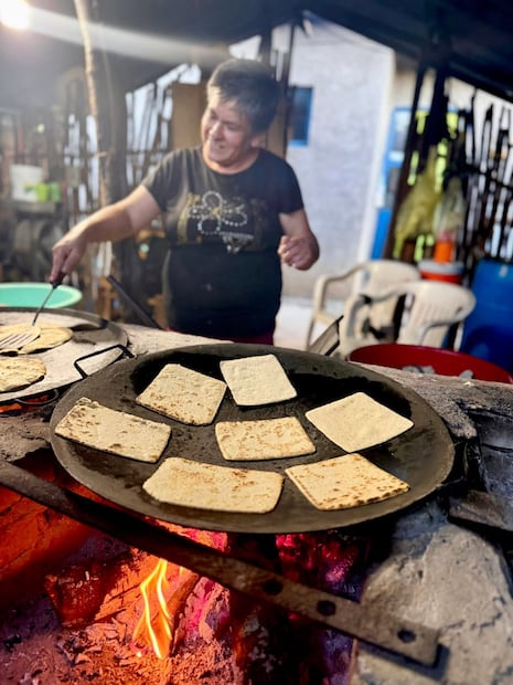 Los pacholes de Querétaro son un bocadillo tradicional. Foto: FB@Pinshi Millenial