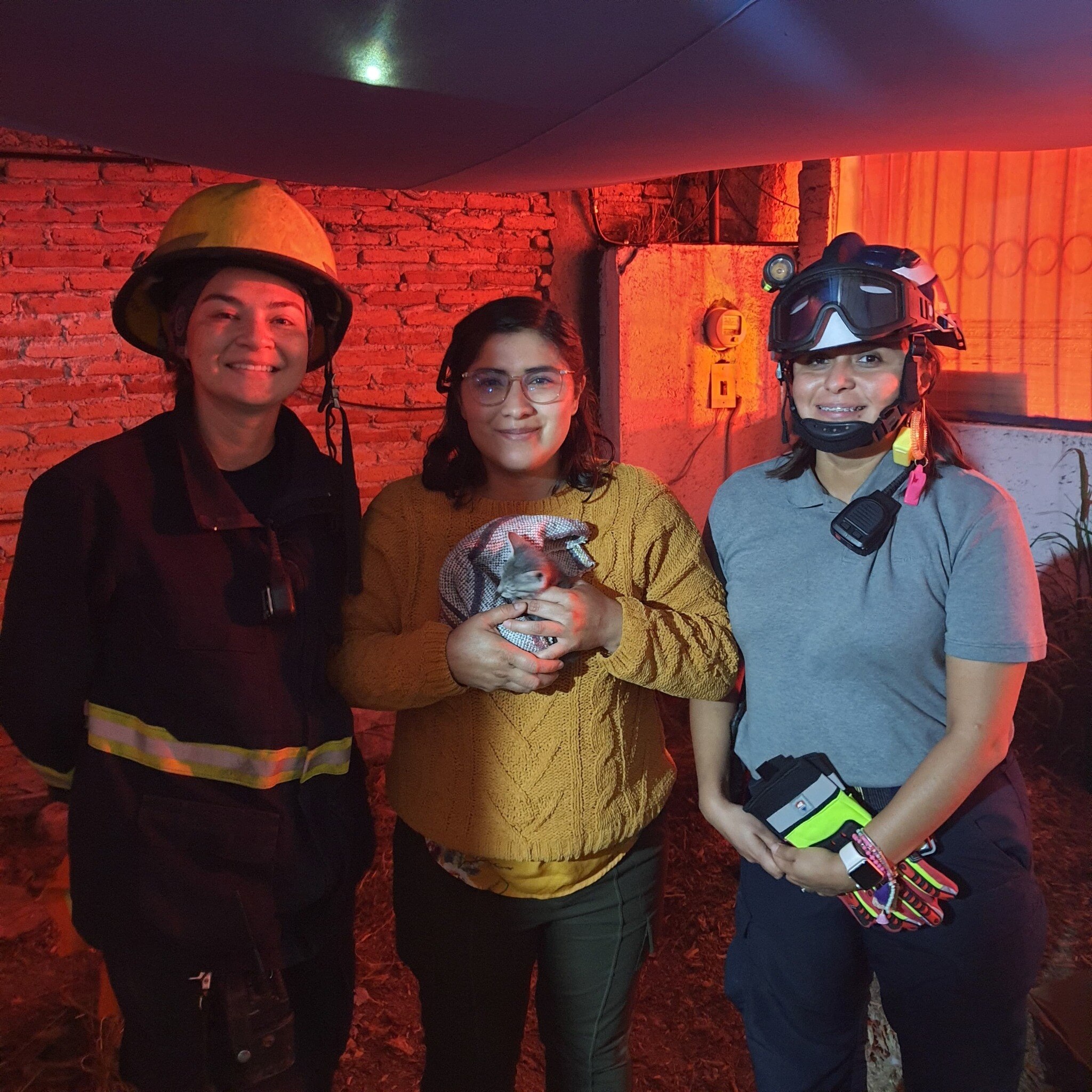 En Querétaro, rescatan a un gatito atrapado en una pared