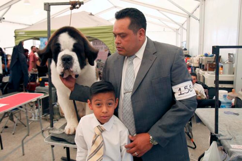En sus 26 años como adiestrador canino, Uriel Romero sabe que los más importante es que no se maltrate a los animales, por lo contrario, dice que los dueños deben tratarlos como un miembro de la familia / Foto: Guillermo González