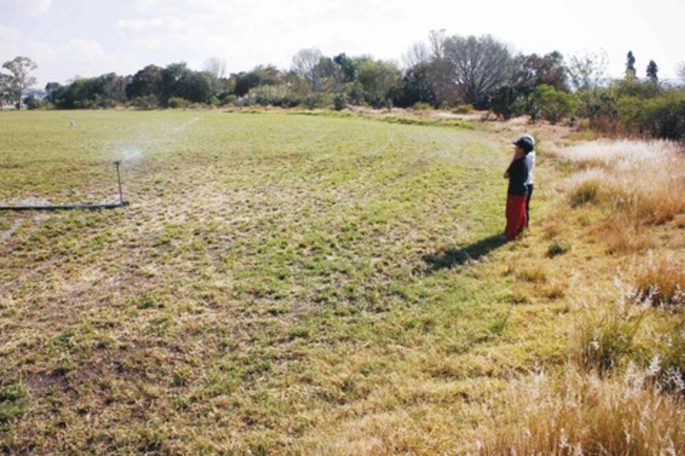 Promueve Sagarpa en el estado sistema de riego por goteo