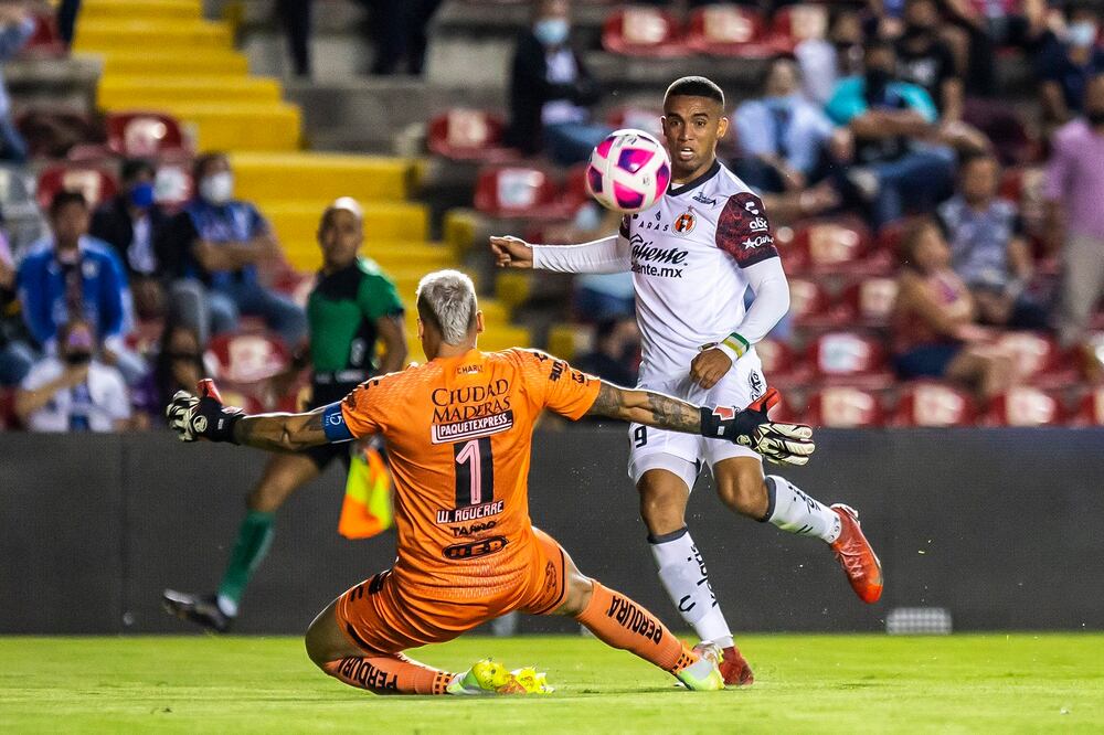 Foto: Twitter Xolos de Tijuana