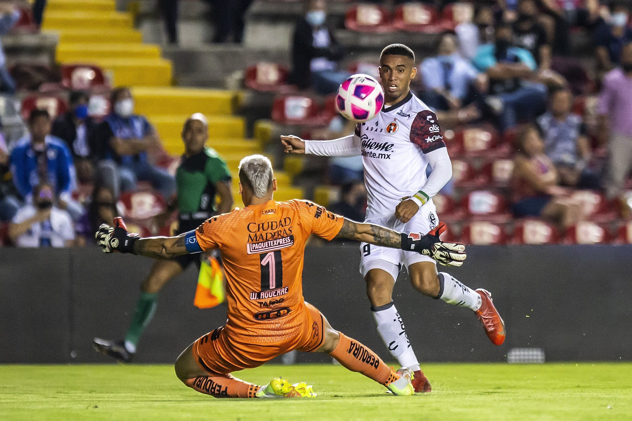 Foto: Twitter Xolos de Tijuana