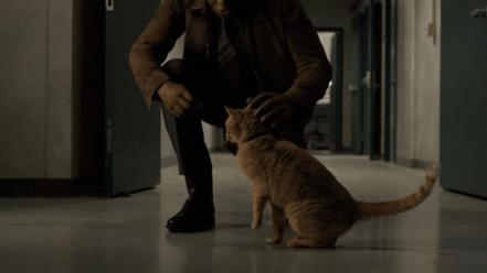 Nick Fury: Así fue como el director de S.H.I.E.L.D. perdió su ojo