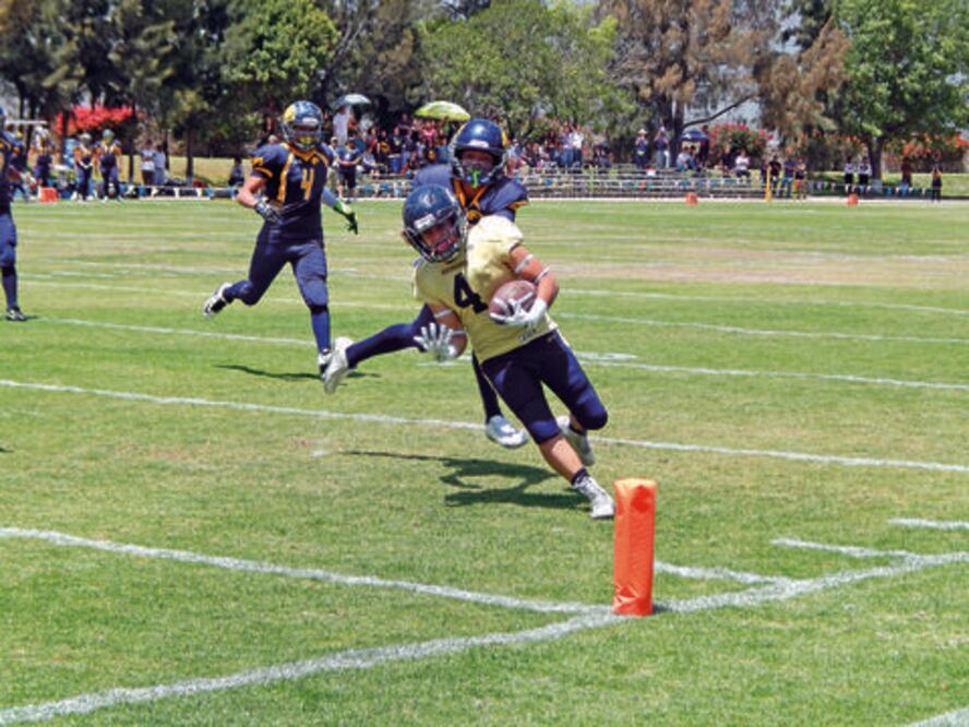 Gatos Salvajes sucumbe ante Bucaneros