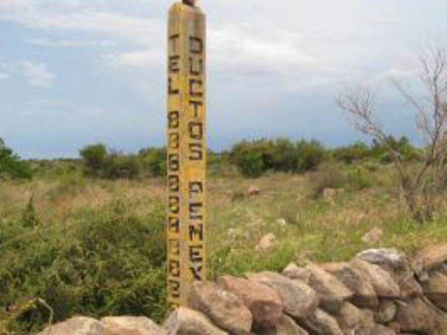 Deben indemnizar por ducto: Sedea