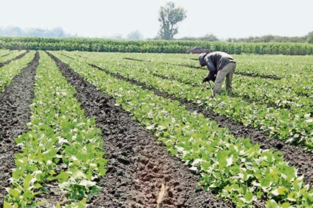 Buscan aplicar la tecnología al campo