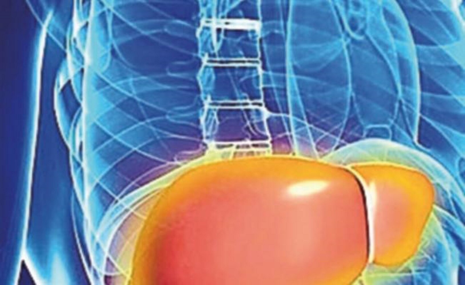 Trabajan con nuevo método para diagnosticar el hígado graso