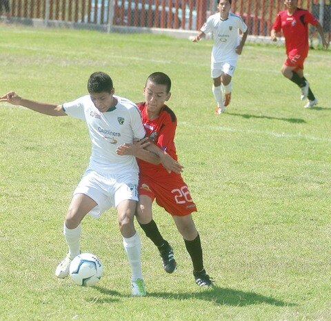Gallos muy cerca de  Corregidores