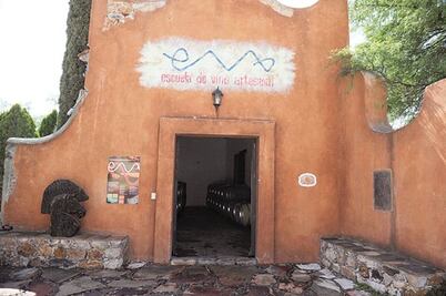 Escuela impulsa viñedos