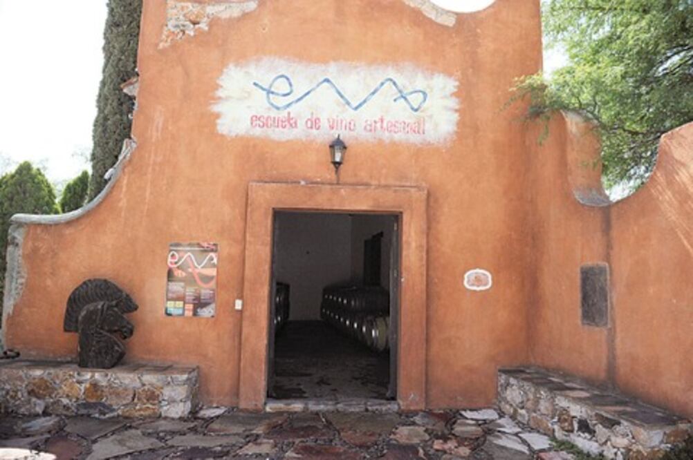 Escuela impulsa viñedos