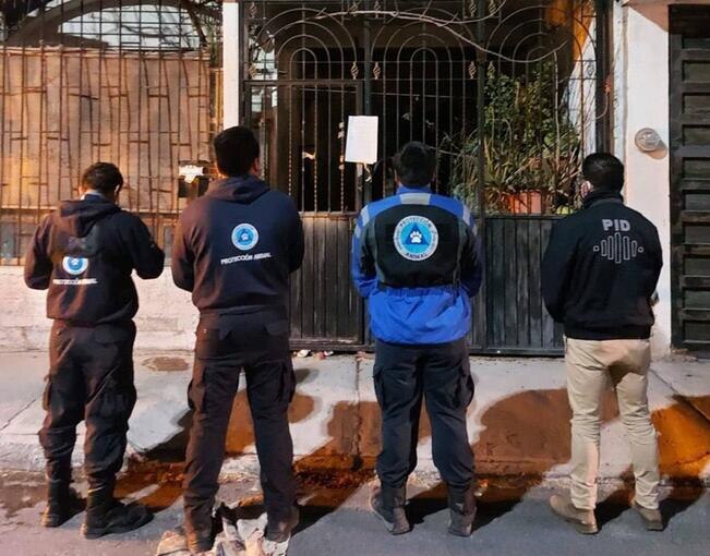 El dueño se fue. Abandonan a seis perros, un gallo y una gallina en Querétaro