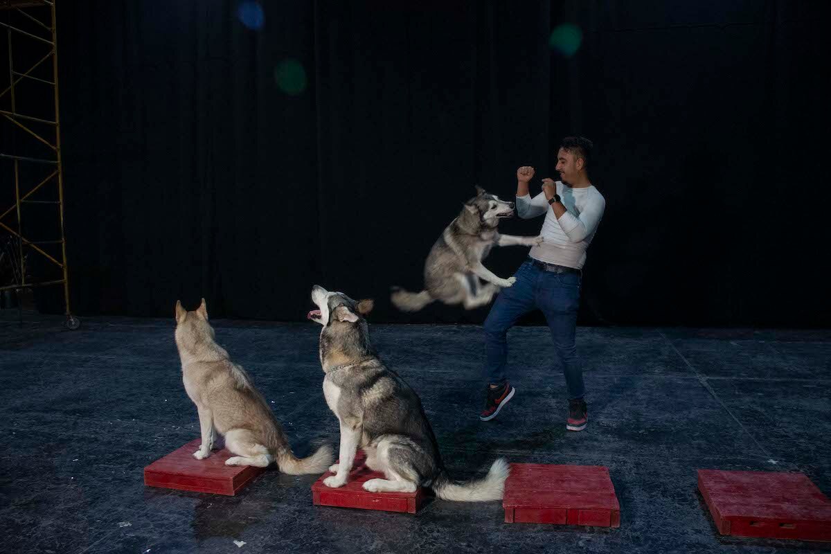 Museo de la Ciudad, de los primeros en ser pet friendly