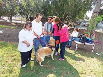 Más que una mascota