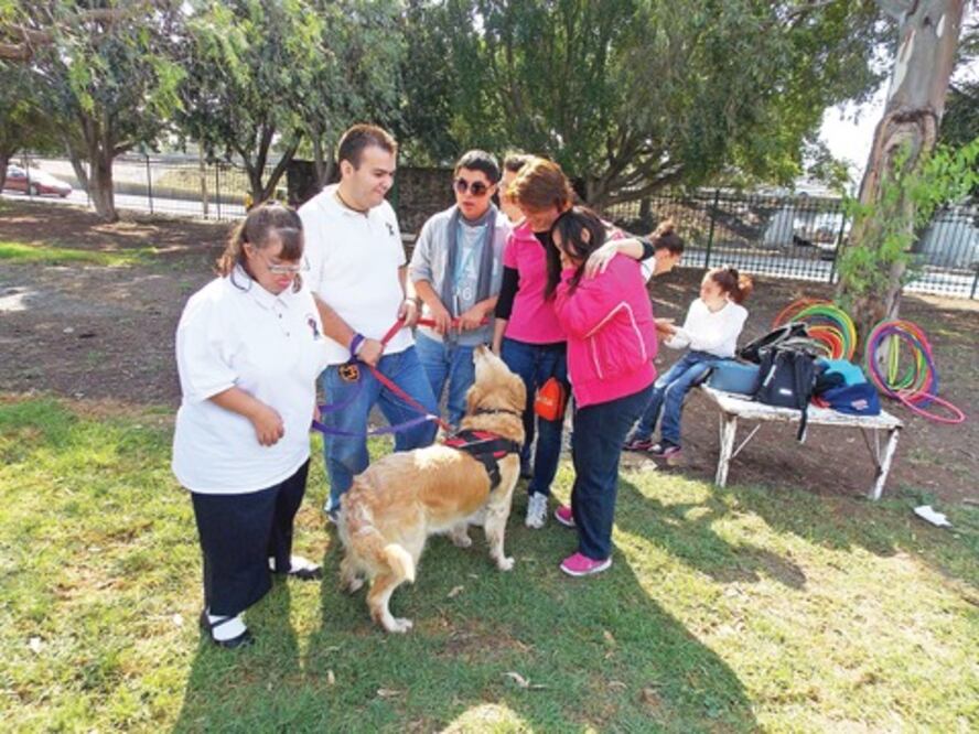 Más que una mascota