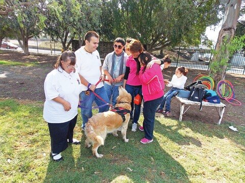 Más que una mascota