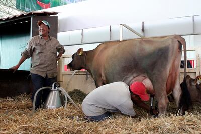 Buscan fortalecer seguridad de ganaderos
