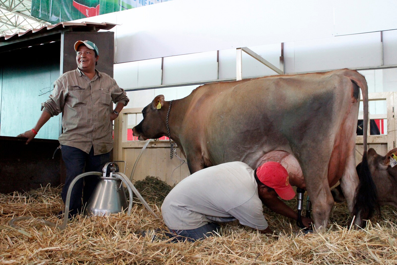 Buscan fortalecer seguridad de ganaderos