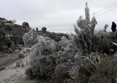 Aguanieve afecta a Pinal de Amoles, reporta PC