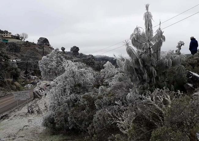 Aguanieve afecta a Pinal de Amoles, reporta PC