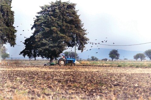 Reforma al campo, benéfica