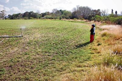 Tecnificarán más de mil hectáreas en SJR