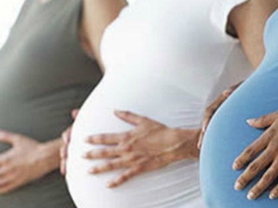  Dan en adopción a sus hijos 