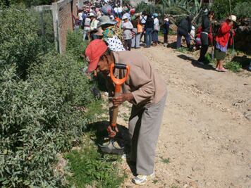 Destinan más fondos para empleo temporal