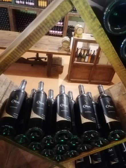 Vendimia 2022. Un viaje por vino artesanal desde 500 pesos a Villa Progreso, el pueblito “italiano” de Querétaro