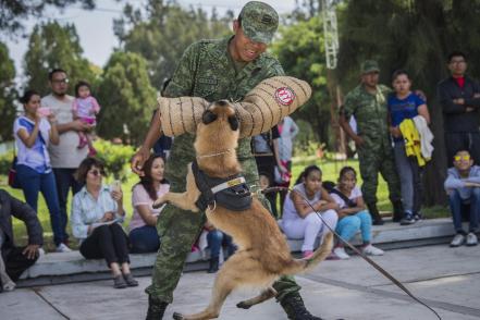 Ejército abre sus puertas para pasar un agradable día 