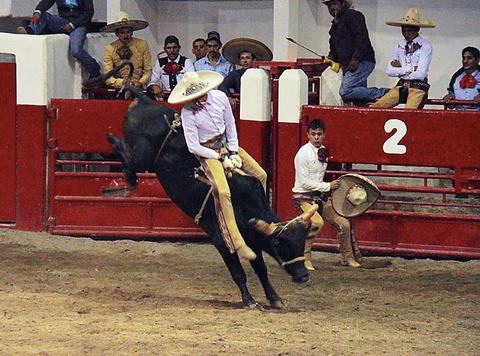 Van locales a Nacional Charro
