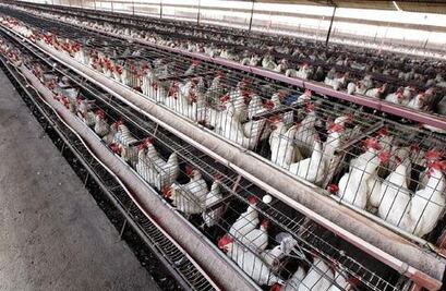 Vacunación preventiva ante influenza