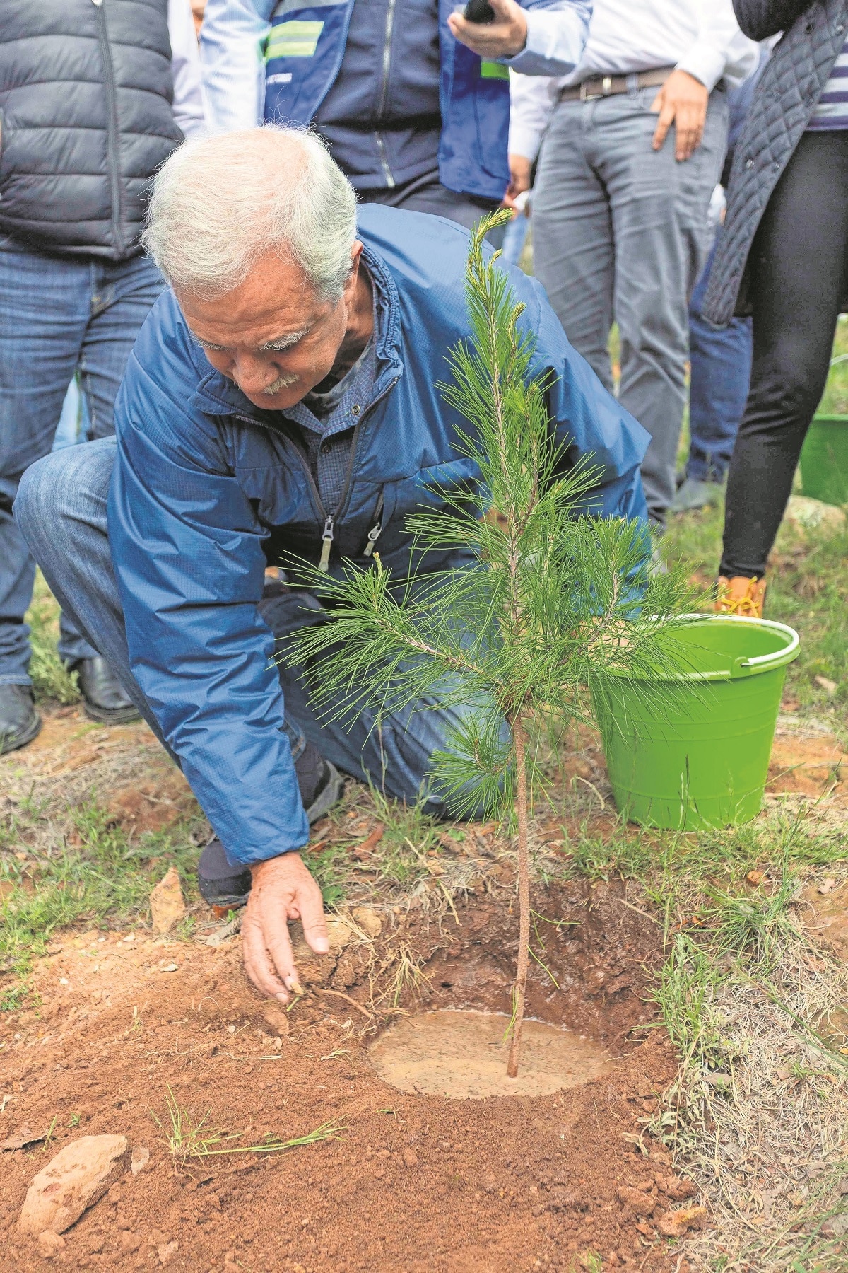 Reforestan con 200 plantas nativas el Parque Natural “La Beata” de Querétaro