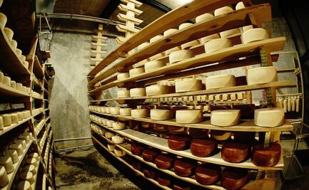 Qué hacer en Querétaro. La experiencia de visitar la cava de quesos Bocanegra