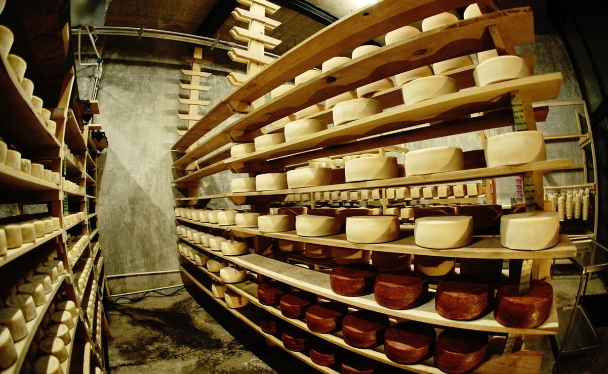 Qué hacer en Querétaro. La experiencia de visitar la cava de quesos Bocanegra