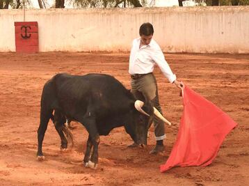 Piden que también prohíban toros
