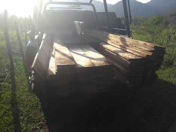 Policías estatales incautan madera