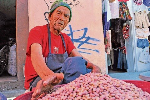 Leguminosas,  la base de su subsistencia