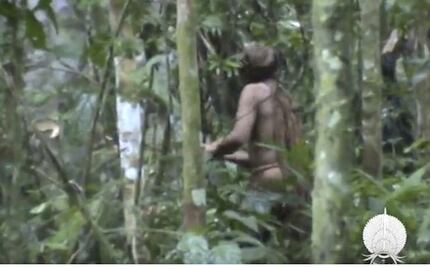 Video. Captan al "hombre más solitario del mundo", último sobreviviente de una tribu amazónica