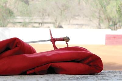 Se unen a anulación de fiesta brava