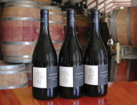 ¡Funden sus gustos!