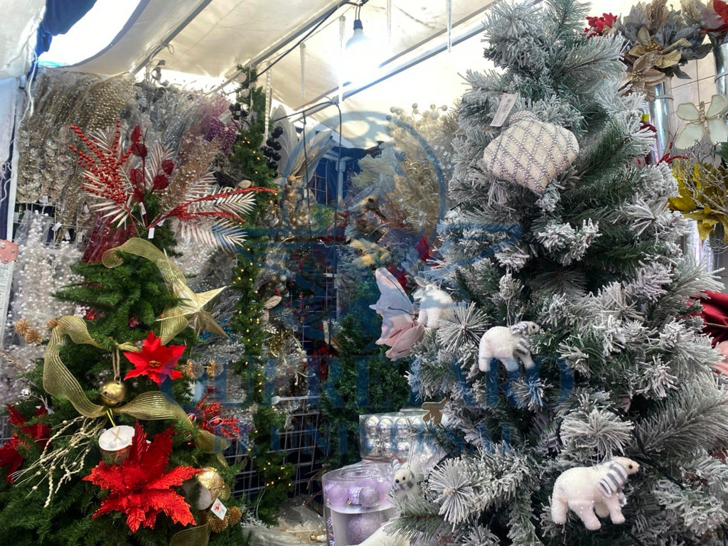 FOTO. DOMINGO VALDEZ