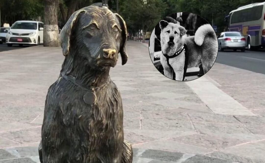 La conmovedora historia de Pimpón, vive en una estatua que recuerda su eterna lealtad en la Alameda Hidalgo. Foto: @maximiliano1_mx, X
