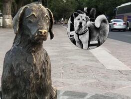 La trágica historia del perrito Pimpón, el Hachiko mexicano en Querétaro